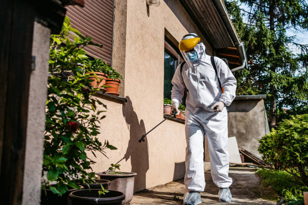 Best Termite Control Services  in Hauser, ID
