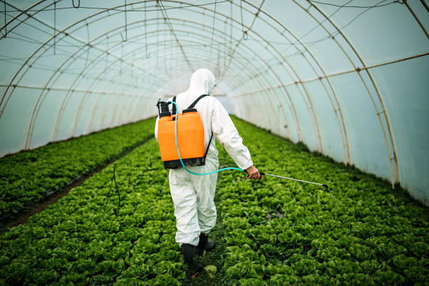Best Mosquito Control Services  in Hauser, ID