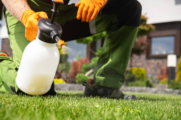 Best Emergency Pest Control  in Hauser, ID