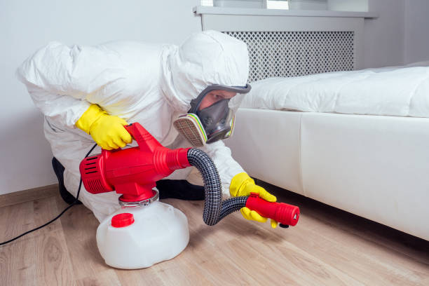 Best Wasp Removal Services  in Hauser, ID