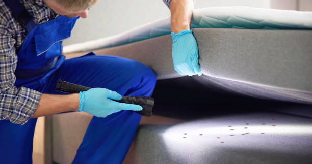 Best Local Pest Control Services  in Hauser, ID