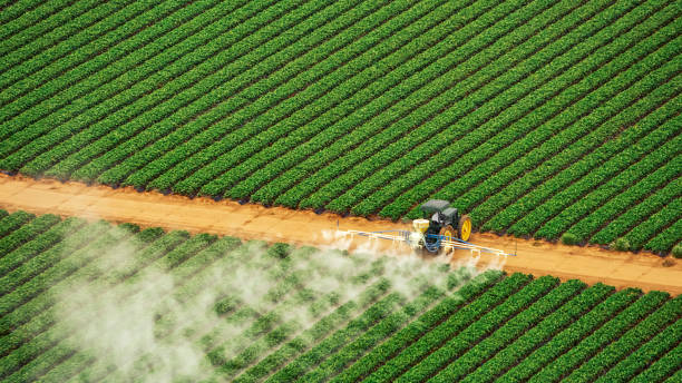 Best Pest Control for Homes  in Hauser, ID