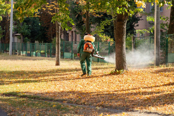 Best Exterminator Services  in Hauser, ID