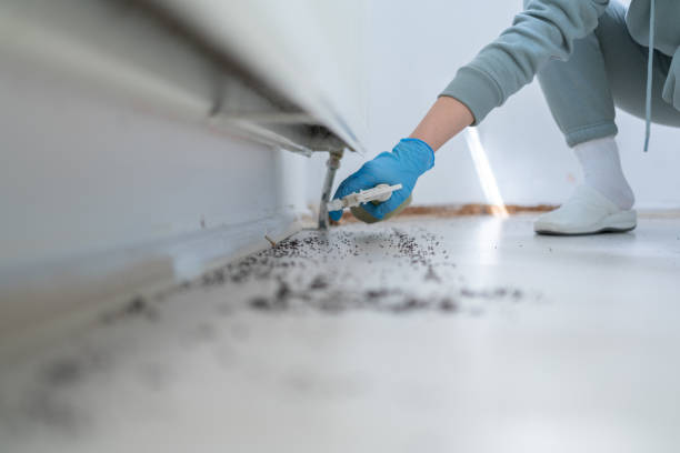 Reliable Hauser, ID Pest Control Solutions